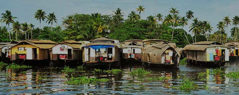 The Kerala Backwaters 